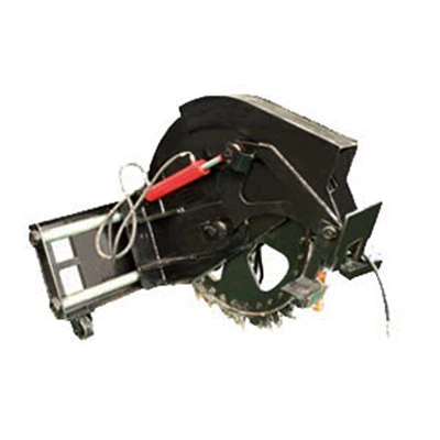 טרנץ 'מסוג דיסק